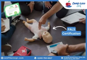 PALS Certification